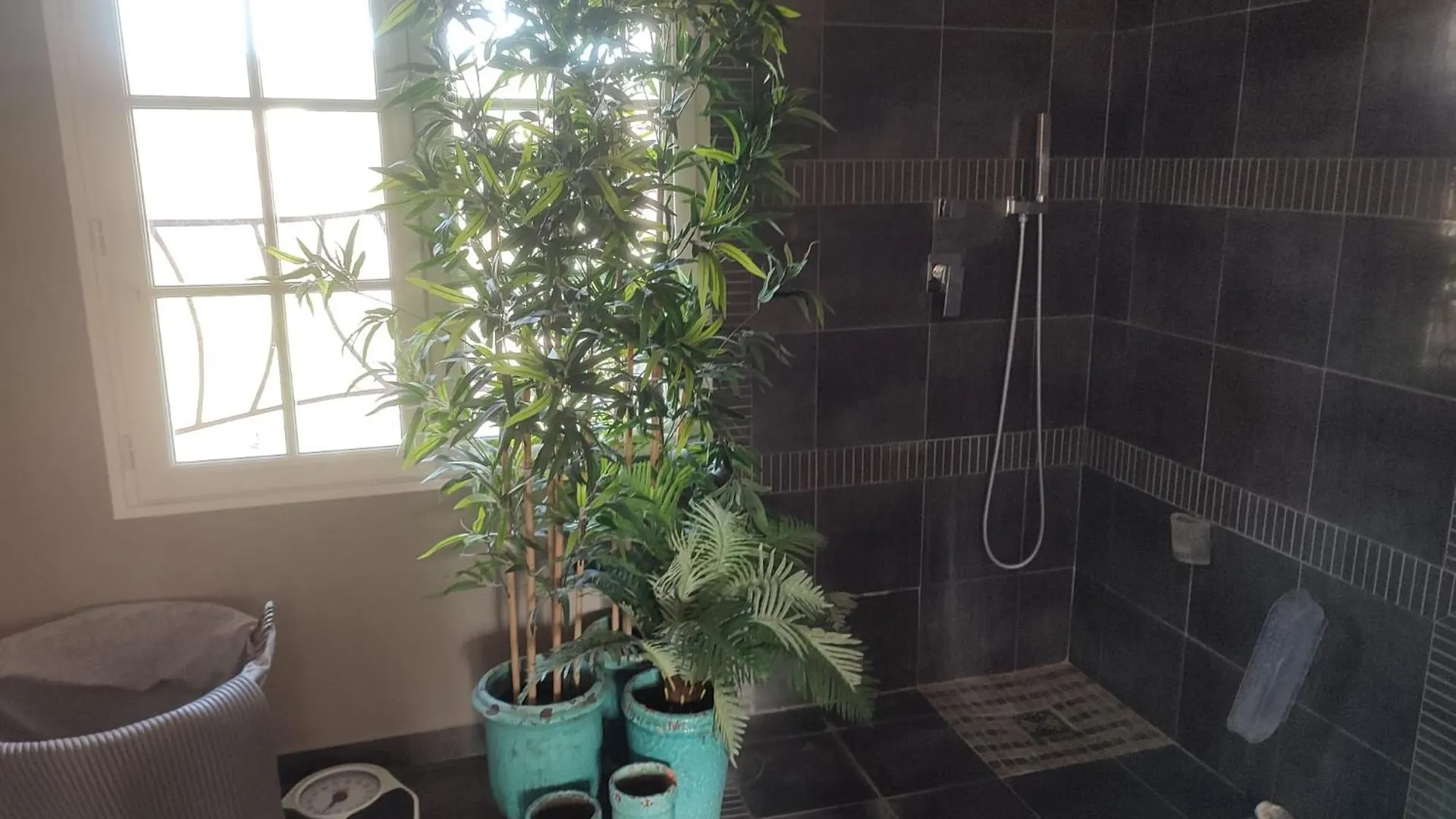 Loft Tourtour Apartment France